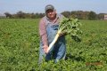 Obituary: David Brandt Accident, Farmer’s Death News Age And Family