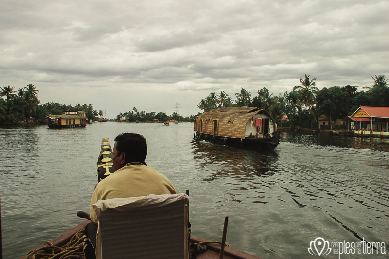 tour a Backwaters de Kerala